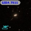 LEDA    7811