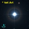 * tet Ari