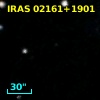 IRAS 02161+1901