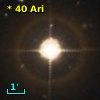 *  40 Ari