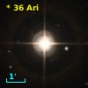 *  36 Ari