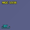 NGC  1036
