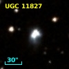UGC 11827