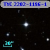 TYC 2202-1186-1