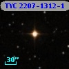 TYC 2207-1312-1