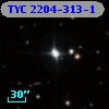 TYC 2204-313-1
