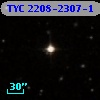 TYC 2208-2307-1