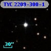 TYC 2209-300-1