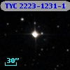 TYC 2223-1231-1