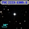 TYC 2223-1309-1