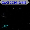 ZwCl 2236+2442