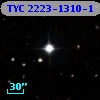 TYC 2223-1310-1