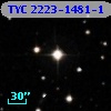 TYC 2223-1481-1