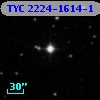 TYC 2224-1614-1