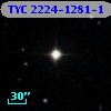 TYC 2224-1281-1