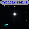 TYC 2229-1242-1