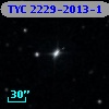 TYC 2229-2013-1