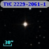 TYC 2229-2061-1