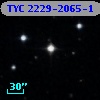 TYC 2229-2065-1