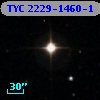 TYC 2229-1460-1