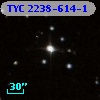 TYC 2238-614-1