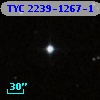 TYC 2239-1267-1