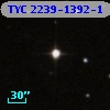TYC 2239-1392-1
