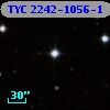 TYC 2242-1056-1
