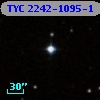 TYC 2242-1095-1