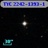 TYC 2242-1393-1