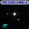 TYC 2242-1486-1