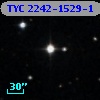 TYC 2242-1529-1