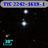TYC 2242-1619-1