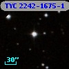 TYC 2242-1675-1