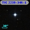 TYC 2239-348-1