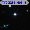 TYC 2239-493-1