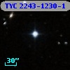 TYC 2243-1230-1