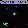 TYC 2243-1236-1