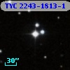 TYC 2243-1813-1