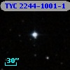 TYC 2244-1001-1