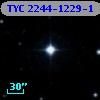 TYC 2244-1229-1