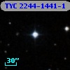 TYC 2244-1441-1