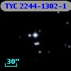 TYC 2244-1302-1