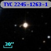 TYC 2245-1263-1