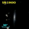 SN 1960O