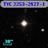 TYC 2253-2827-1