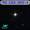 TYC 2253-2877-1