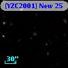 [YZC2001] New 25