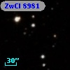 ZwCl  8981