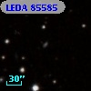 LEDA   85585
